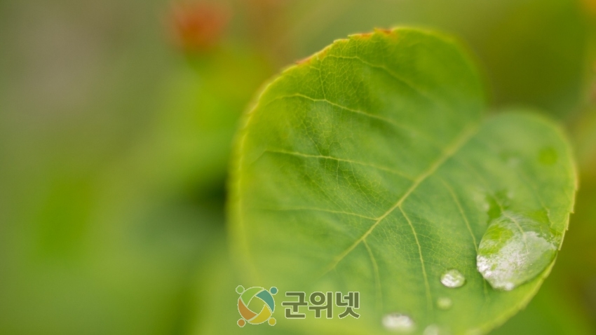 8858ca8a77d2d6cd5aadea6858fc1a3e_1581644731_7.jpg