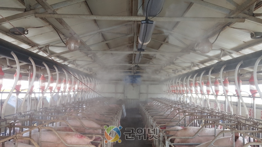 c17dd332697bda8e1aff9932e82fe13c_1592805987_26.jpg