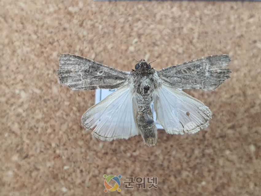 e545a9a6afa2aa9d98344d7ad583cc13_1622941656_13.jpg