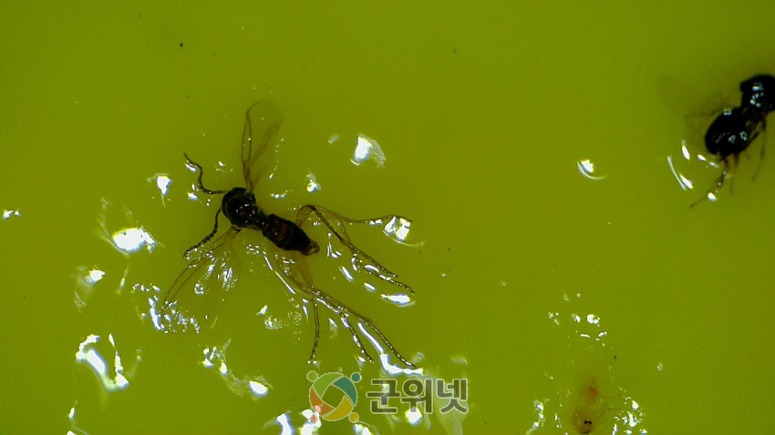 ab576fddc5affba24e87e746e627801b_1653267804_45.jpg