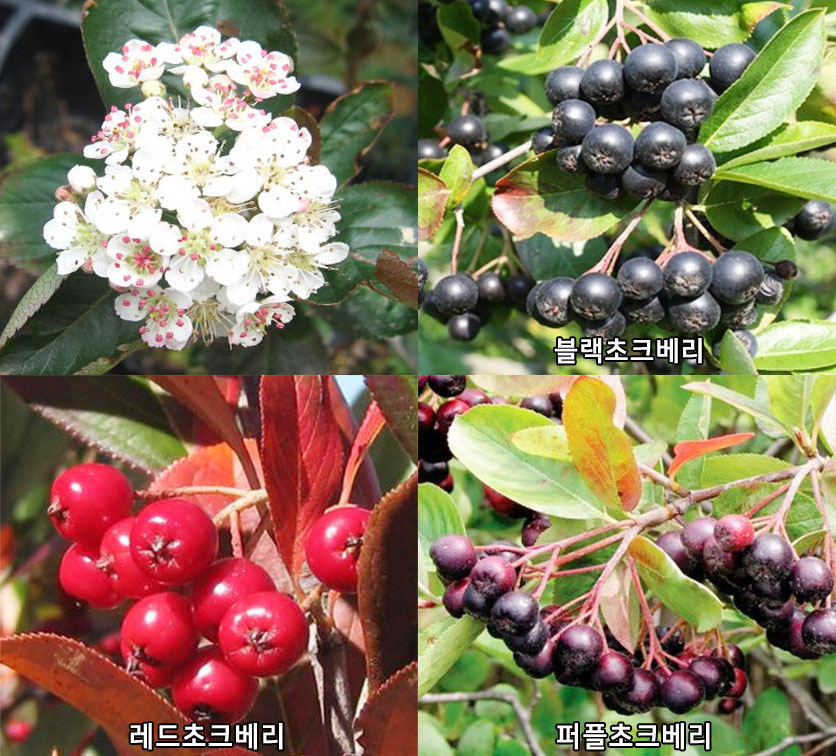 bc669927f853cc3d32a774cbb09906b5_1692080046_77.jpg