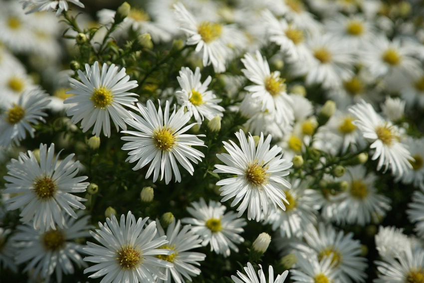 de00c16f0eec787c03fc6bba37564080_1701438165_54.jpg