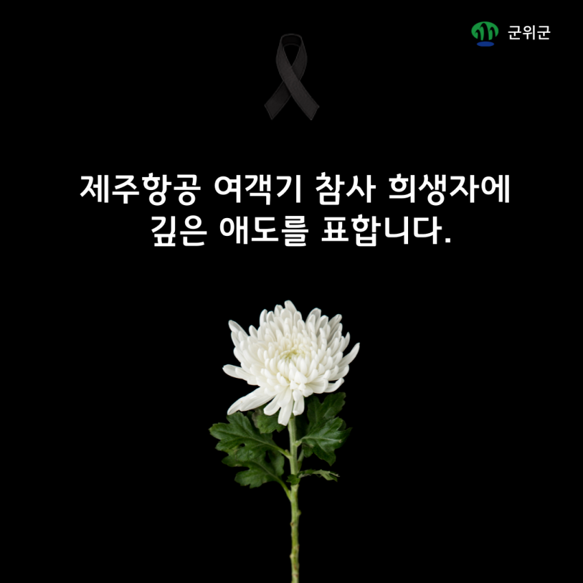 d5d06a3b1108a63a5bc65d40f7cf8076_1735531475_25.png