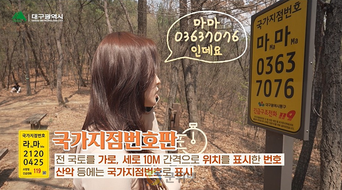 119죠! 여기 라마03637076인데 많이 다쳤어요 이미지