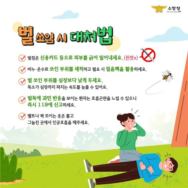 벌 쏘임 사고 집중되는 여름철! 알면 피할 수 있다! 이미지