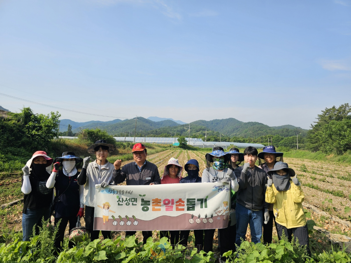산성면직원, 간이식 수술 농가 찾아 일손 지원 ‘훈훈’ 이미지