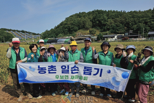 군위군 우보면 새마을회 ‘마늘수확 농촌 일손돕기’구슬땀