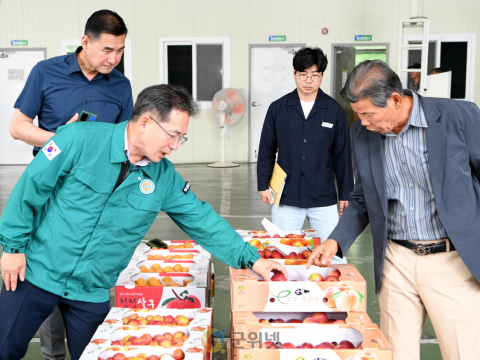 군위군, 2025년 농산물 공판장 개장