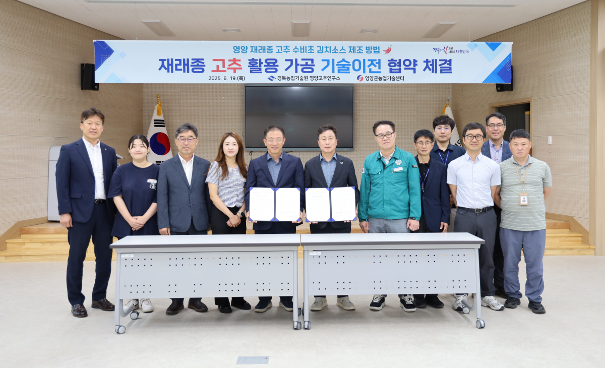 ‘수비초 김치소스’기술이전, 상용화 앞당겨 이미지
