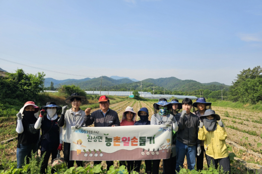 산성면직원, 간이식 수술 농가 찾아 일손 지원 ‘훈훈’