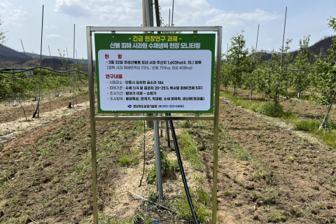 산불 피해 사과원‘생육 정밀 모니터링’현장연구 박차!