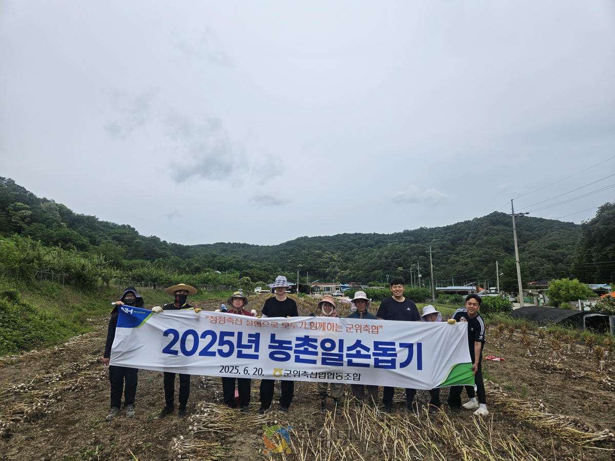 군위축협, 농촌일손돕기 봉사활동 실시 이미지