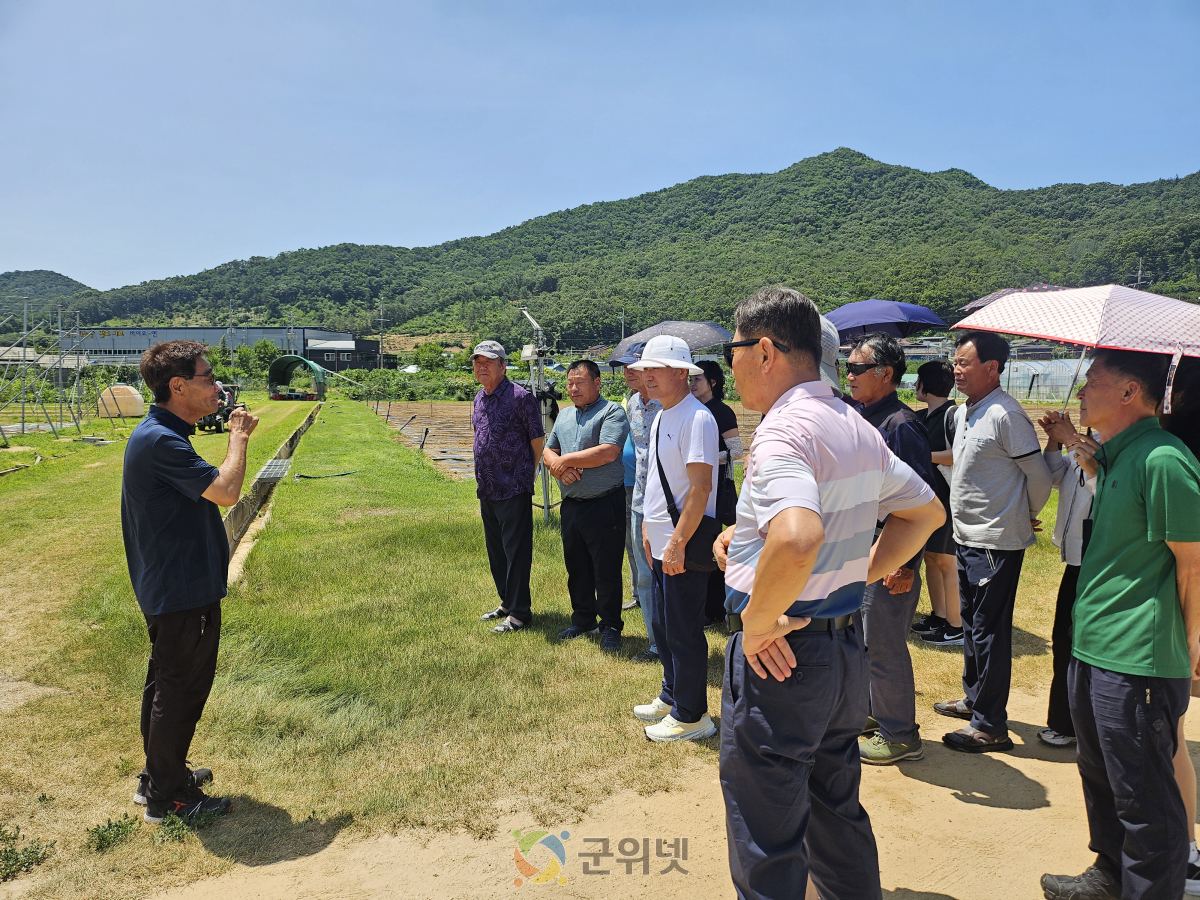 부산 작목반, 군위군 과학영농실증시범포 견학 경조정, 골든볼, 2기작 팥 재배 기술에 관심 이미지