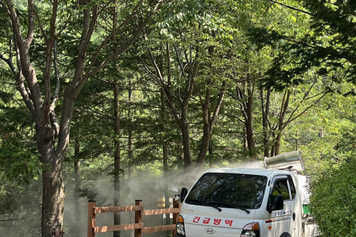 군위군, 쾌적한 환경 조성을 위한 집중 방역