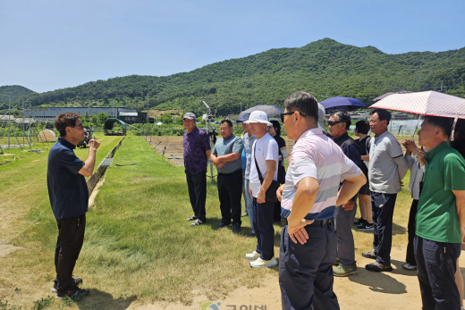 부산 작목반, 군위군 과학영농실증시범포 견학 경조정, 골든볼, 2기작 팥 재배 기술에 관심
