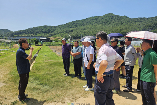 부산 작목반, 군위군 과학영농실증시범포 견학 경조정, 골든볼, 2기작 팥 재배 기술에 관심 이미지