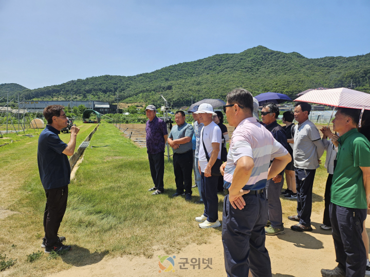 부산 작목반, 군위군 과학영농실증시범포 견학 경조정, 골든볼, 2기작 팥 재배 기술에 관심