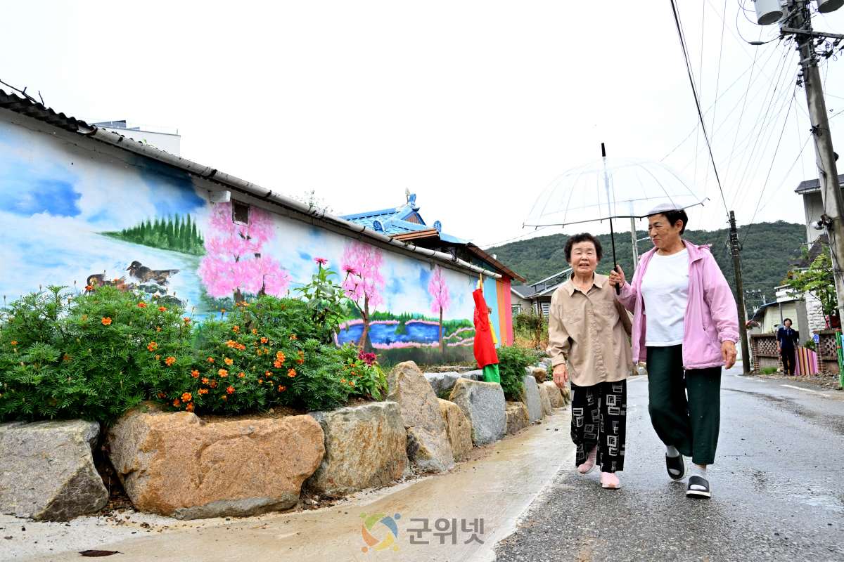 군위군 효령면 장기1리 마을만들기, ‘돌 위에 피어난 선인장’ 전시회 성황리 개최 이미지