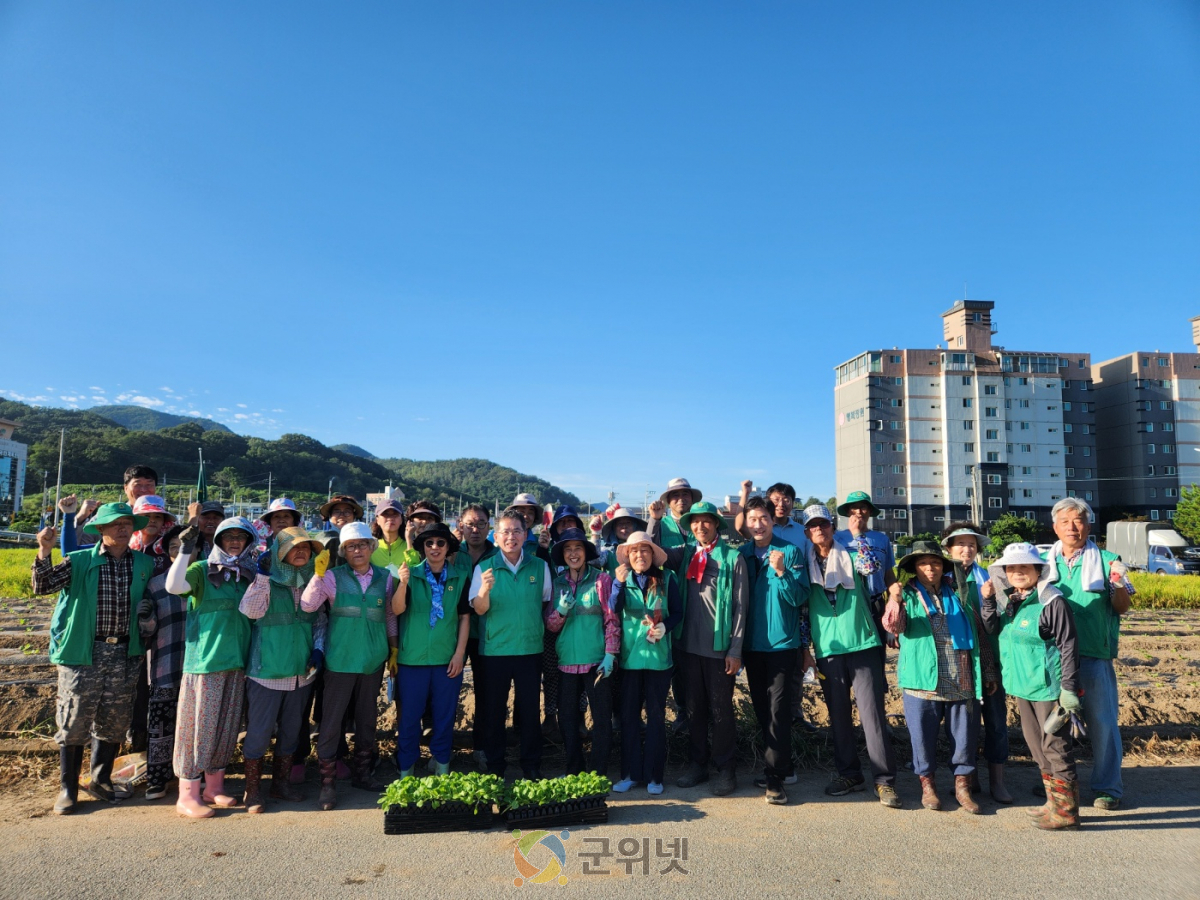 군위읍 새마을지도자회, ‘사랑나눔 배추 심기’행사 이웃사랑 실천 이미지