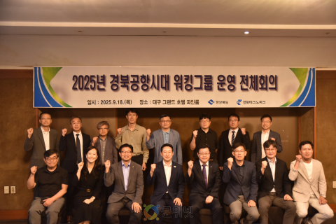 경북도, 경북공항시대 지역발전을 위한 워킹그룹 첫 회의 개최 이미지