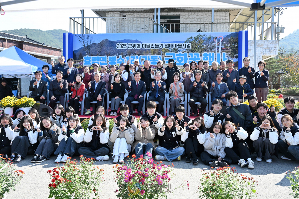 2025년 군위형 마을만들기 사업으로 활짝 꽃 피운 병수1리, 국화꽃 속에 담긴 공동체의 힘 이미지