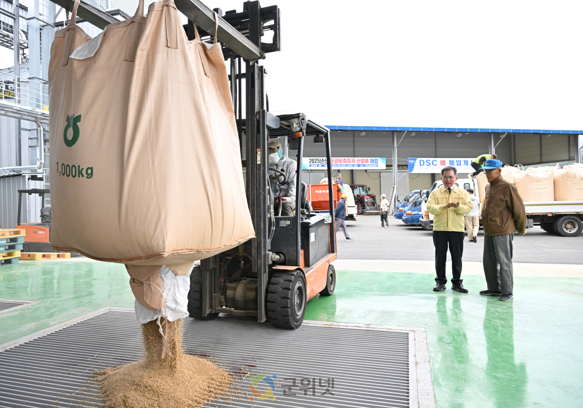 군위군, 2025년산 공공비축미 산물벼 매입 개시 이미지
