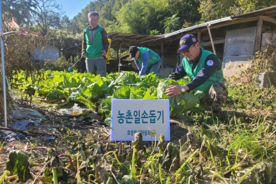 효령면 새마을회, 농촌일손돕기 봉사활동 펼쳐 이미지