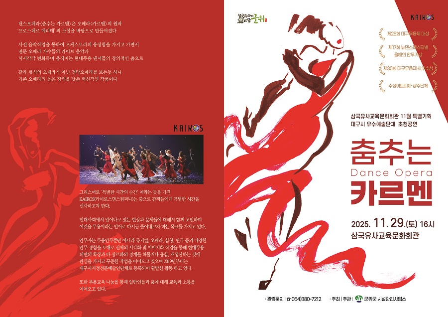 춤추는 카르멘 이미지