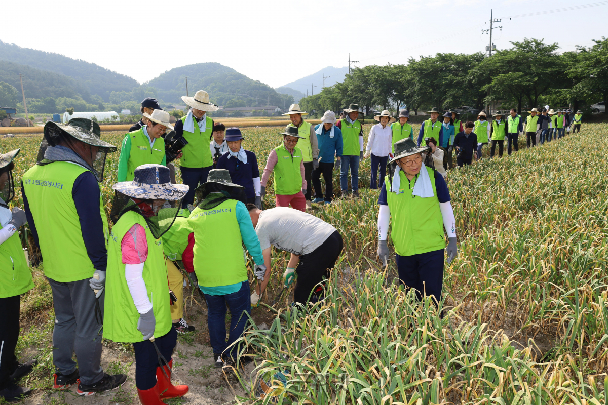 대구시, 민·관 힘 모아 농촌 일손돕기 나서 이미지