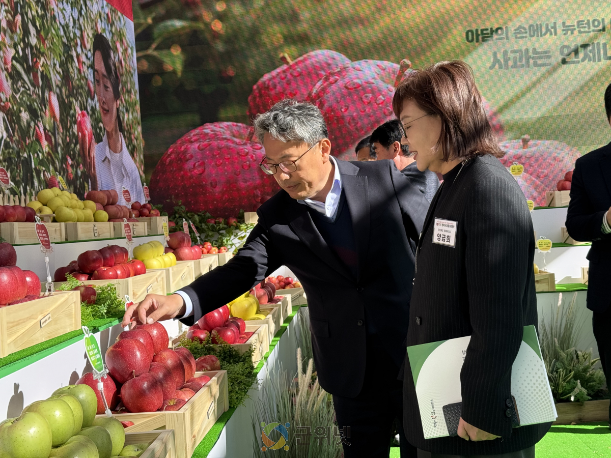 꼭지 달린 경북 사과, 꼭지 그대로! 신선함 그대로! 이미지