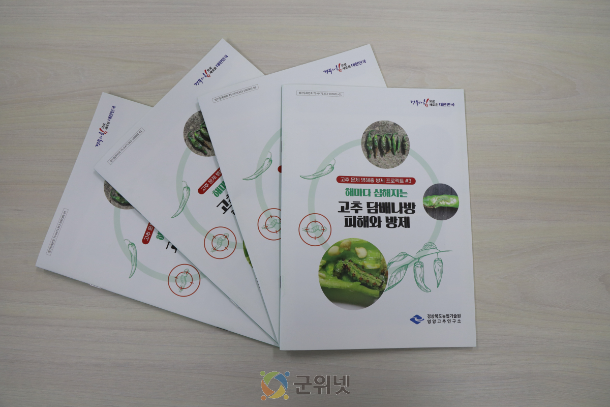 늘어나는 담배나방 피해, 맞춤형 방제방법 제시! 이미지