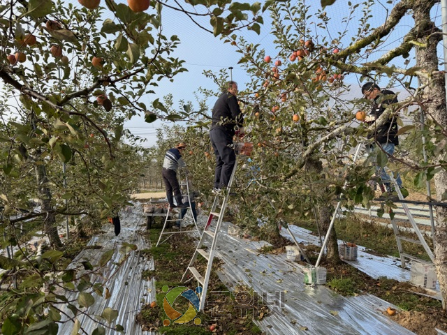 군위군 소보면, 가을철 농촌일손돕기 ‘구슬땀’ 이미지