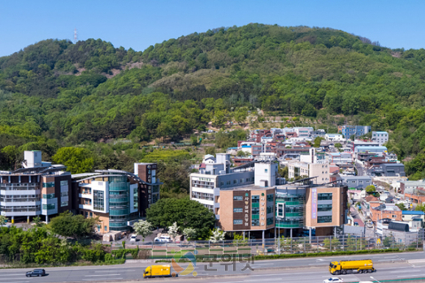 대구시, 올겨울 취약노인 보호 총력… 동절기 대책 시행 이미지