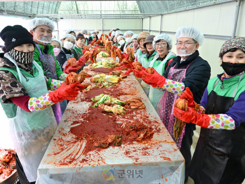 군위군 새마을부녀회,‘사랑의 김장 봉사’로 이웃 사랑 실천