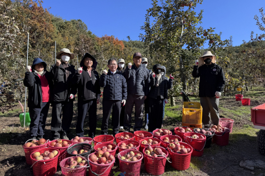 부계면, 사과 재배농가서 농촌 일손돕기 이미지