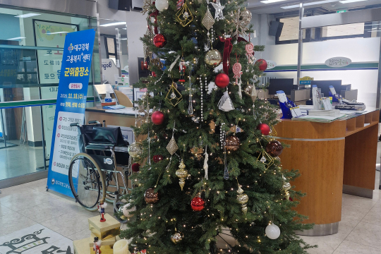 군위군 민원실, 희망과 행복 가득한 크리스마스트리 설치 이미지