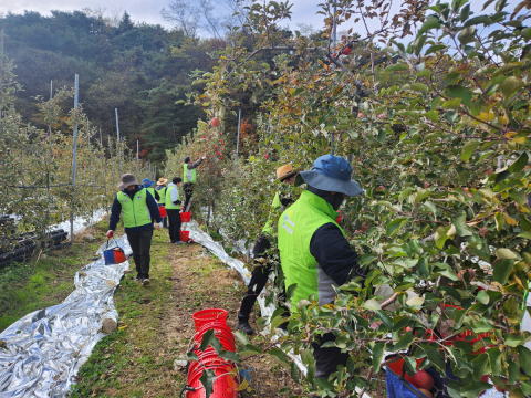 주택관리공단 대구경북지사, 농촌 일손돕기 나서