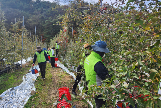 주택관리공단 대구경북지사, 농촌 일손돕기 나서