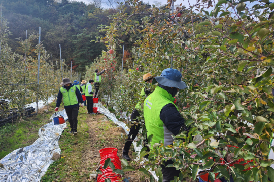 주택관리공단 대구경북지사, 농촌 일손돕기 나서 이미지