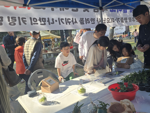 한밤마을 돌담문화 가을 힐링 행사
