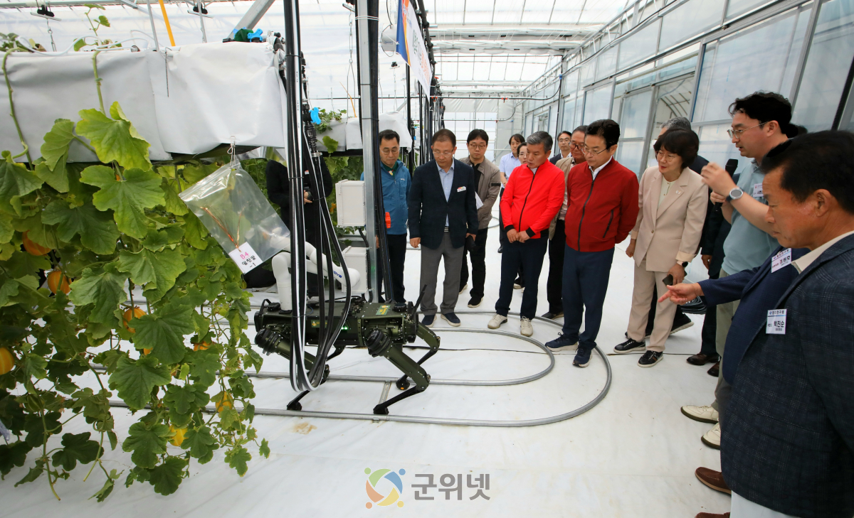 ‘일손은 절반, 소득은 두 배’… 참외 산업 혁신 성과 주목! 이미지