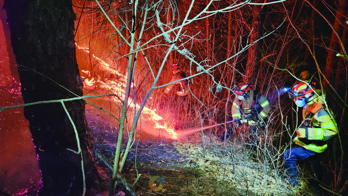 경북소방, 겨울철 건조한 날씨 지속, 산불예방 당부! 이미지