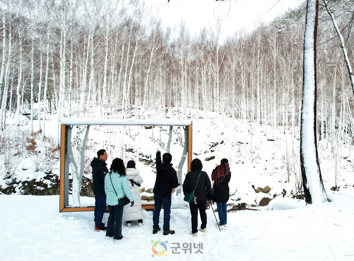 경북도, 영양자작나무숲, 국립치유의숲으로 도약 이미지