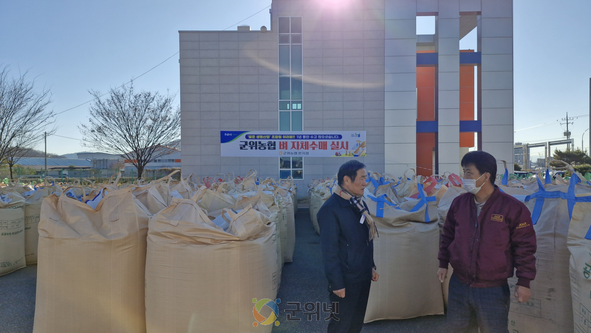 군위농협 2025년산 벼 자체수매 실시... 쌀값 안정에 기여 이미지