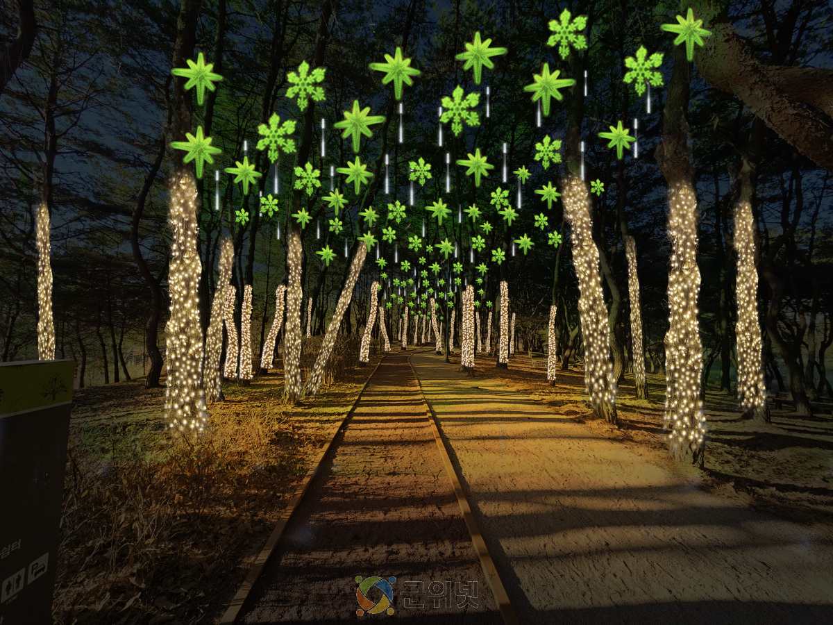 경북도, 천년숲에 겨울밤 밝히는 경관조명 점등! 이미지