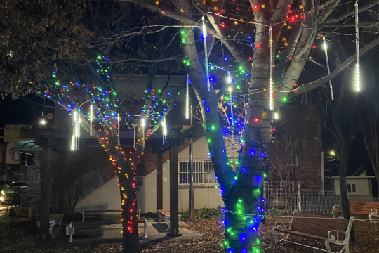 ㈜종보전기에서 고향 우보면에 크리스마스트리 불 밝혀 이미지