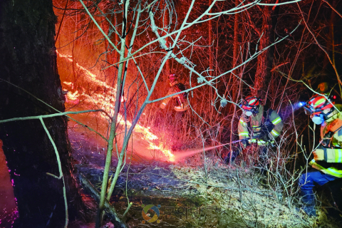 경북소방, 겨울철 건조한 날씨 지속, 산불예방 당부! 이미지