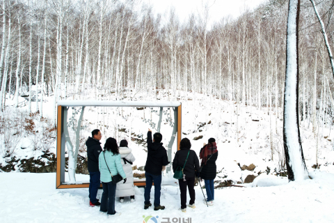 경북도, 영양자작나무숲, 국립치유의숲으로 도약 이미지