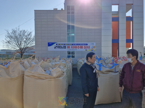 군위농협 2025년산 벼 자체수매 실시... 쌀값 안정에 기여