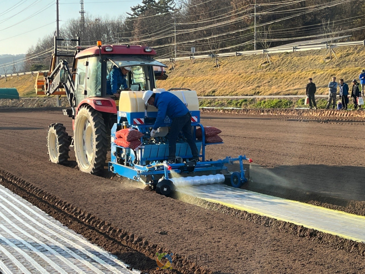 경북농업기술원,‘마늘 기계화 표준재배모델 매뉴얼’발간 이미지